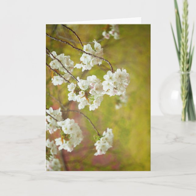 Mottagningskort, tomt invändigt kort (Framsida)