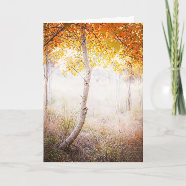 Mottagningskort, tomt invändigt kort (Framsida)