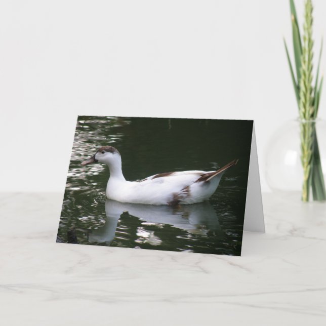 Mottated Anka Greeting Card Kort (Framsida)