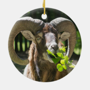 Mouflon Ram Julgransprydnad Keramik