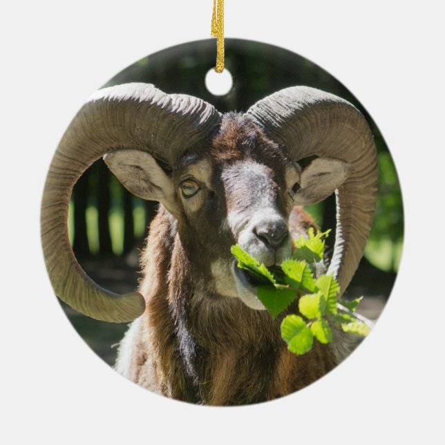 Mouflon Ram Julgransprydnad Keramik (Baksidan)