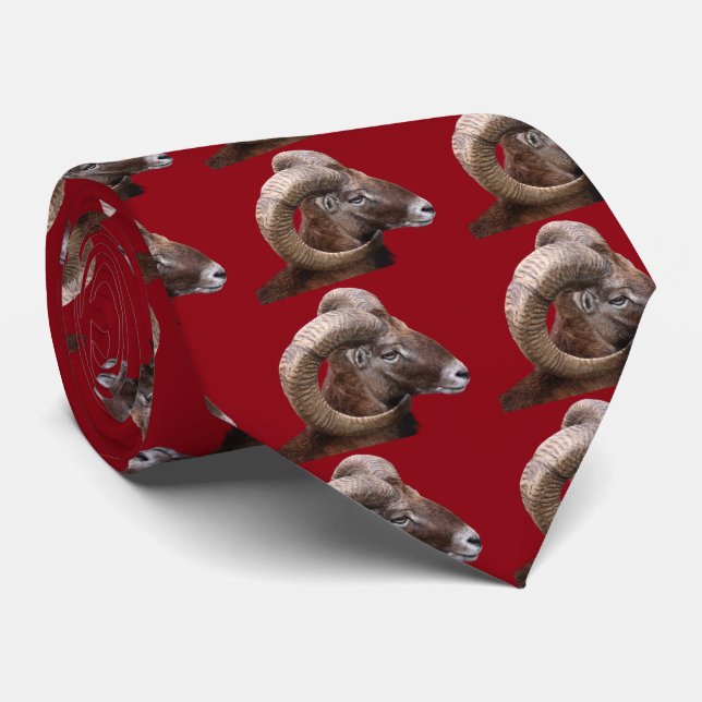 Mouflon Slips (Rullad)