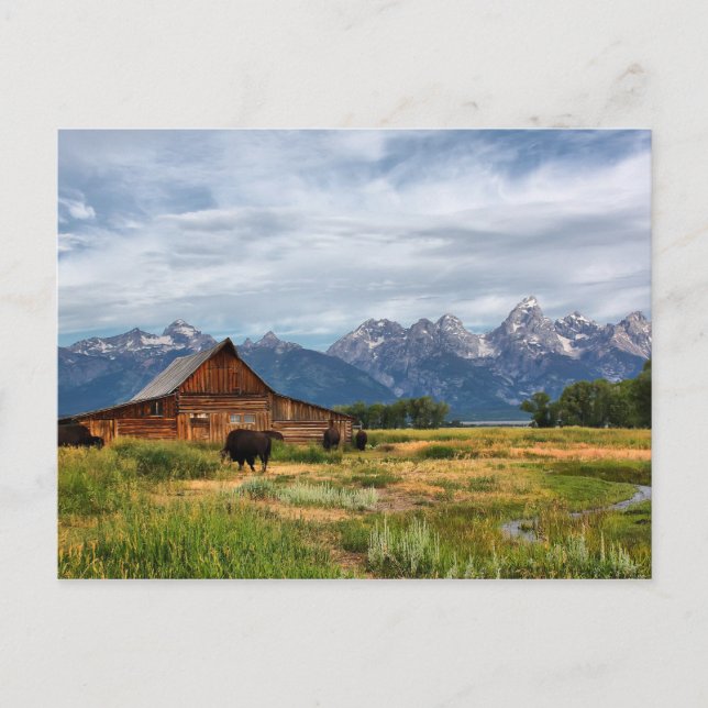 Moulton Barn Vykort (Framsida)