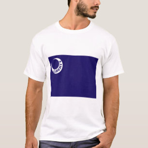 Moultrie Flagga (Liberty) (Amerikansk historia) T Shirt