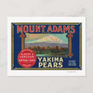 Mount Adams Pear Låda LabelYakima, WA Vykort
