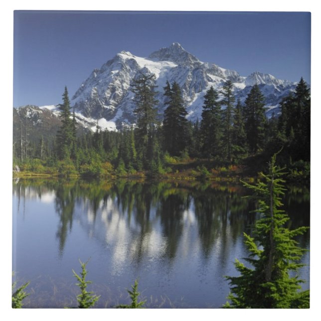 Mount Baker-Snoqualmie nationalskog Kakelplatta (Framsidan)