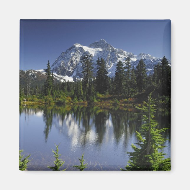 Mount Baker-Snoqualmie nationalskog Magnet (Framsidan)
