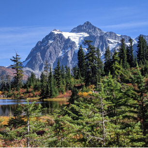 Mount Baker, Washington Fall Färg Poster