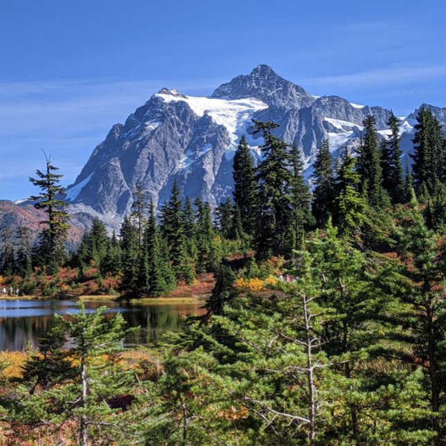 Mount Baker, Washington Fall Färg Poster (Skapare uppladdad)