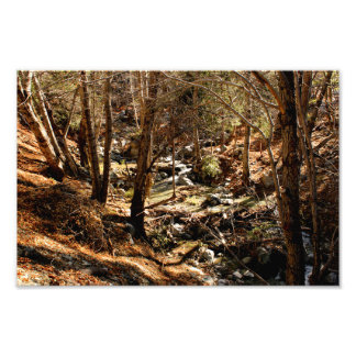 Mount Baldy Fototryck