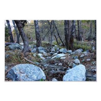 Mount Baldy Fototryck
