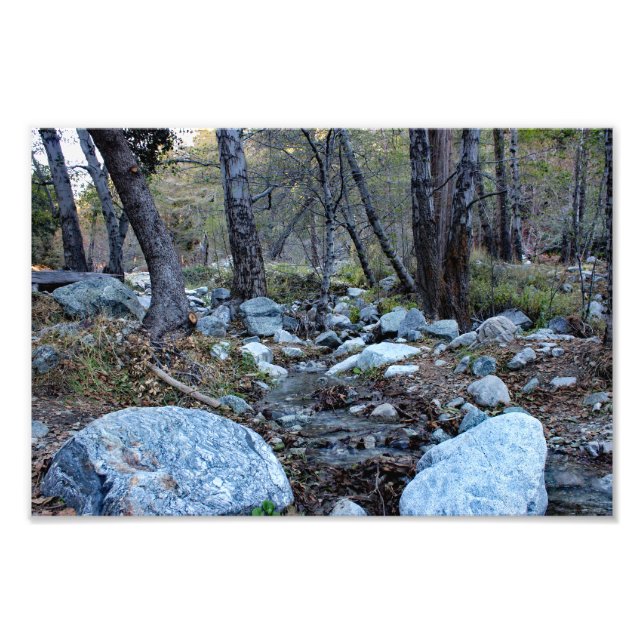 Mount Baldy  Fototryck (Framsidan)