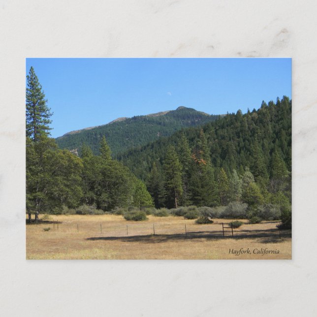 Mount Chanchelulla med svag månsken... Vykort (Framsida)