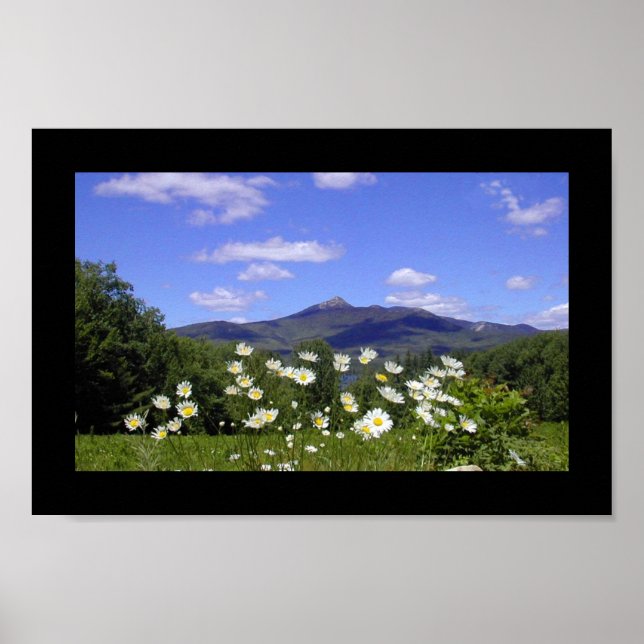 Mount Chocorua Poster (Framsidan)