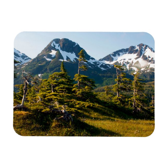 Mount Eccles nära Cordova, Alaska Magnet (Horisontell)
