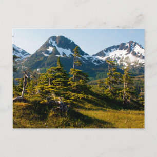 Mount Eccles nära Cordova, Alaska Vykort