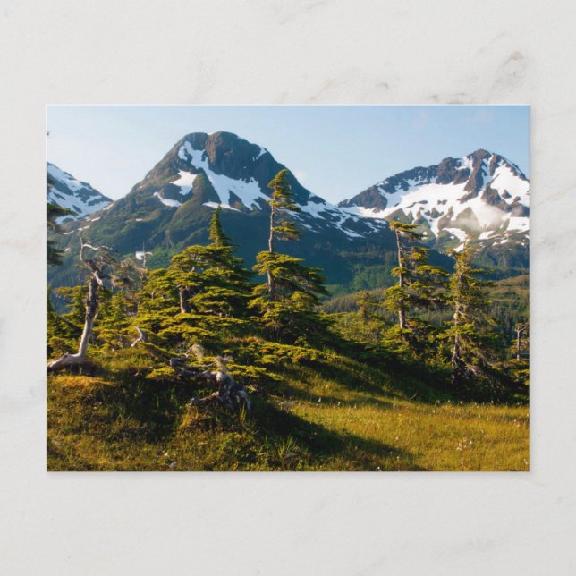 Mount Eccles nära Cordova, Alaska Vykort (Framsida)