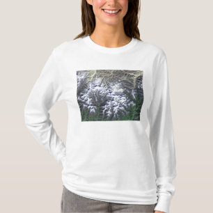 Mount Everest T Shirt