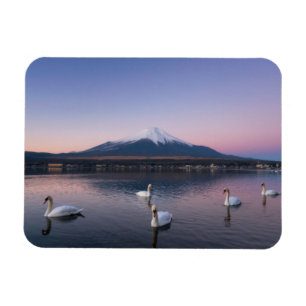 Mount Fuji Yamanaka sjö med svanar Magnet