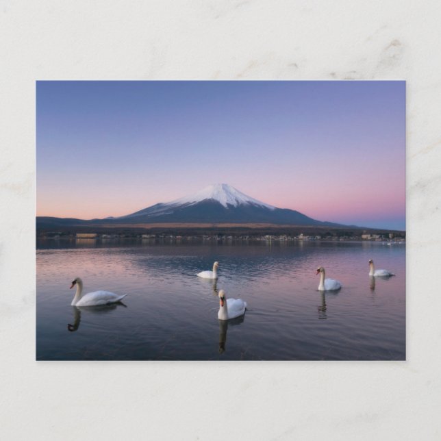 Mount Fuji | Yamanaka Sjö med Svanar Vykort (Framsida)