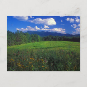 Mount Greylock från Meadow Williamstown Vykort