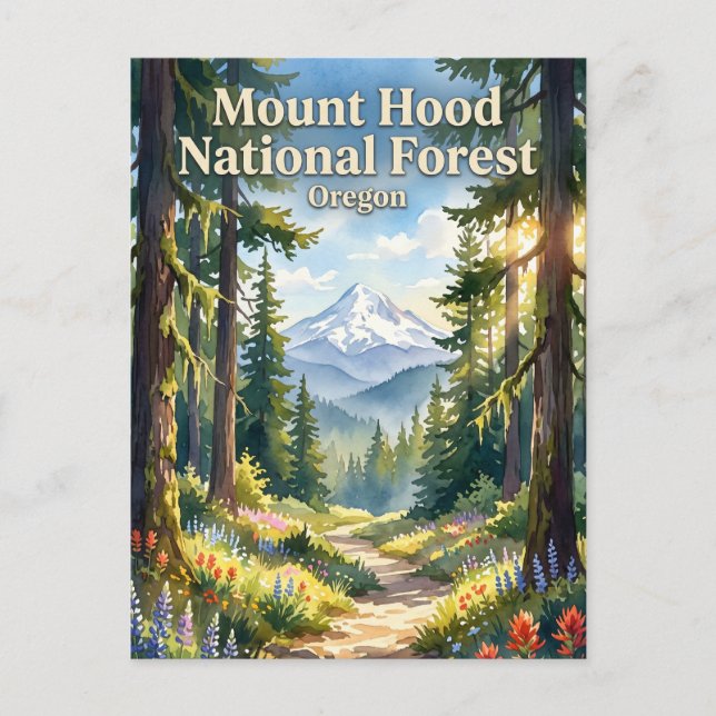 Mount Hood National Forest Oregon Vykort (Framsida)