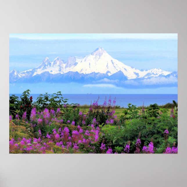 Mount Iliamna Alaska Poster (Framsidan)