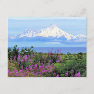 Mount Iliamna i Alaska Vykort