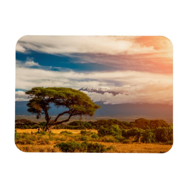Mount Kilimanjaro | Amboseli, Kenya Magnet (Horisontell)