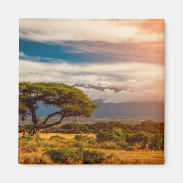 Mount Kilimanjaro | Amboseli, Kenya Magnet (Framsidan)