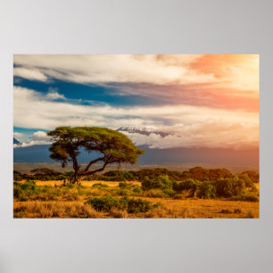 Mount Kilimanjaro Amboseli, Kenya Poster