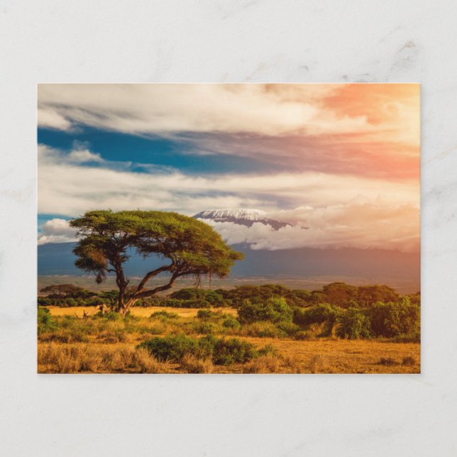 Mount Kilimanjaro | Amboseli, Kenya Vykort (Framsida)