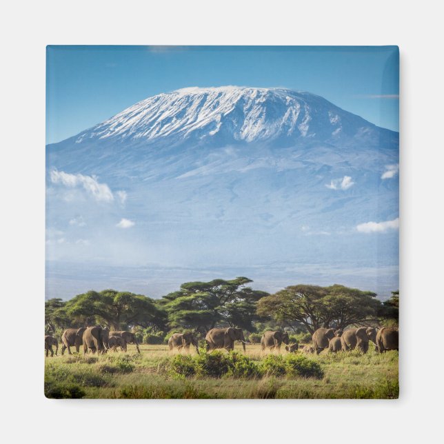 Mount Kilimanjaro Magnet (Framsidan)