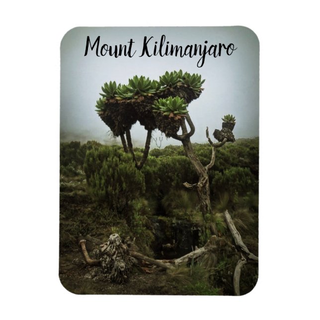 Mount Kilimanjaro Magnet (Vertikal)