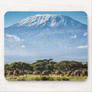 Mount Kilimanjaro Musmatta