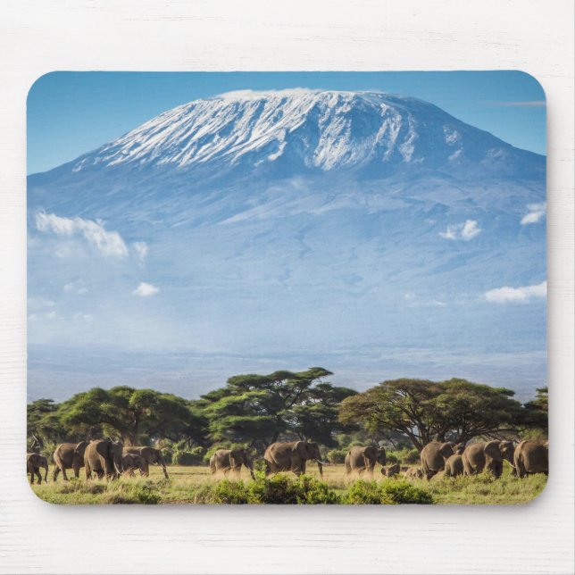 Mount Kilimanjaro Musmatta (Framsidan)