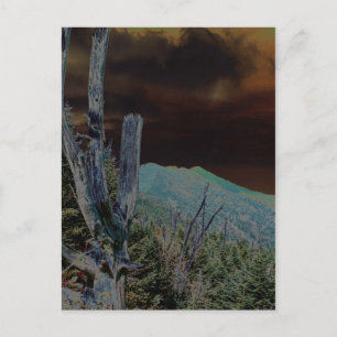 Mount Mitchell, North Carolina Vykort