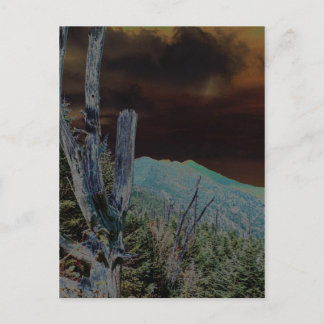 Mount Mitchell, North Carolina Vykort