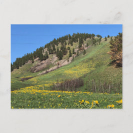 Mount Otis vykort