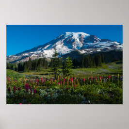 Mount Rainer Wildblommor Poster
