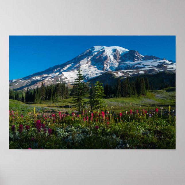 Mount Rainer Wildblommor Poster (Framsidan)