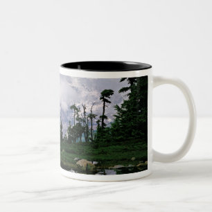 Mount Rainier återspeglas i en fjällsjö Två-Tonad Mugg