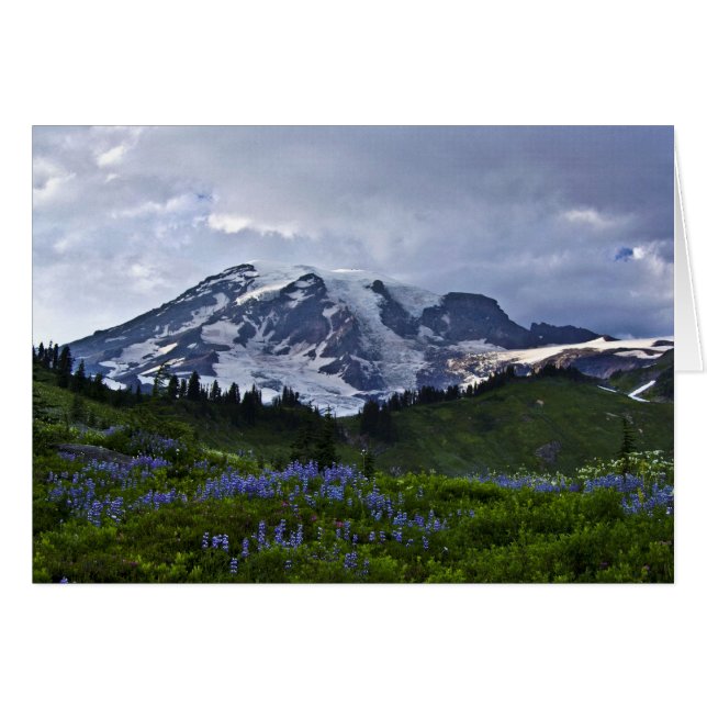 Mount Rainier Hälsningskort (Framsidan Horizontal)