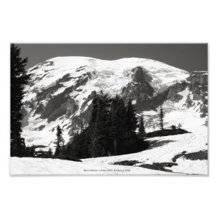 Mount Rainier i juni Fototryck