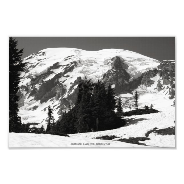 Mount Rainier i juni Fototryck (Framsidan)