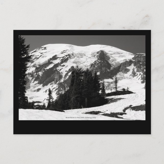 Mount Rainier i juni Vykort (Framsida)