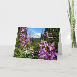 Mount Rainier mellan lila floxblommor Kort