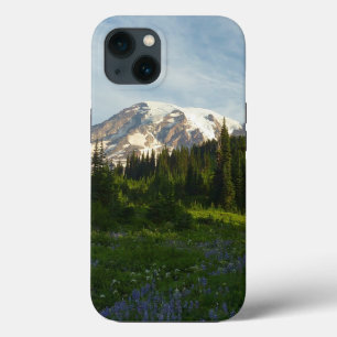 Mount Rainier Morgonljus