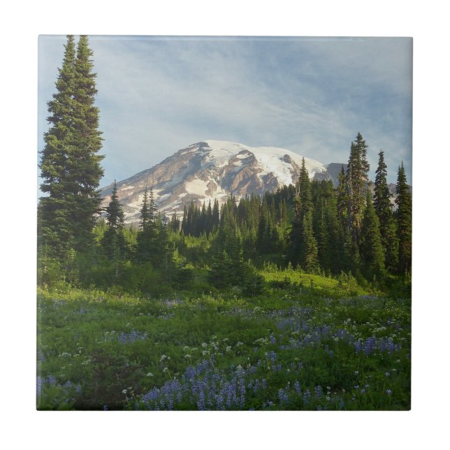 Mount Rainier Morgonljus Kakelplatta (Framsidan)