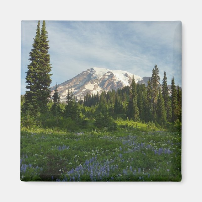 Mount Rainier Morgonljus Magnet (Framsidan)
